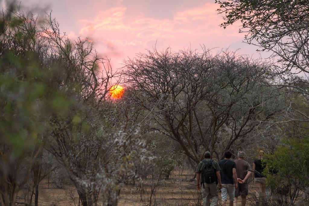 Klaserie River Safari Lodge Hoedspruit Dış mekan fotoğraf