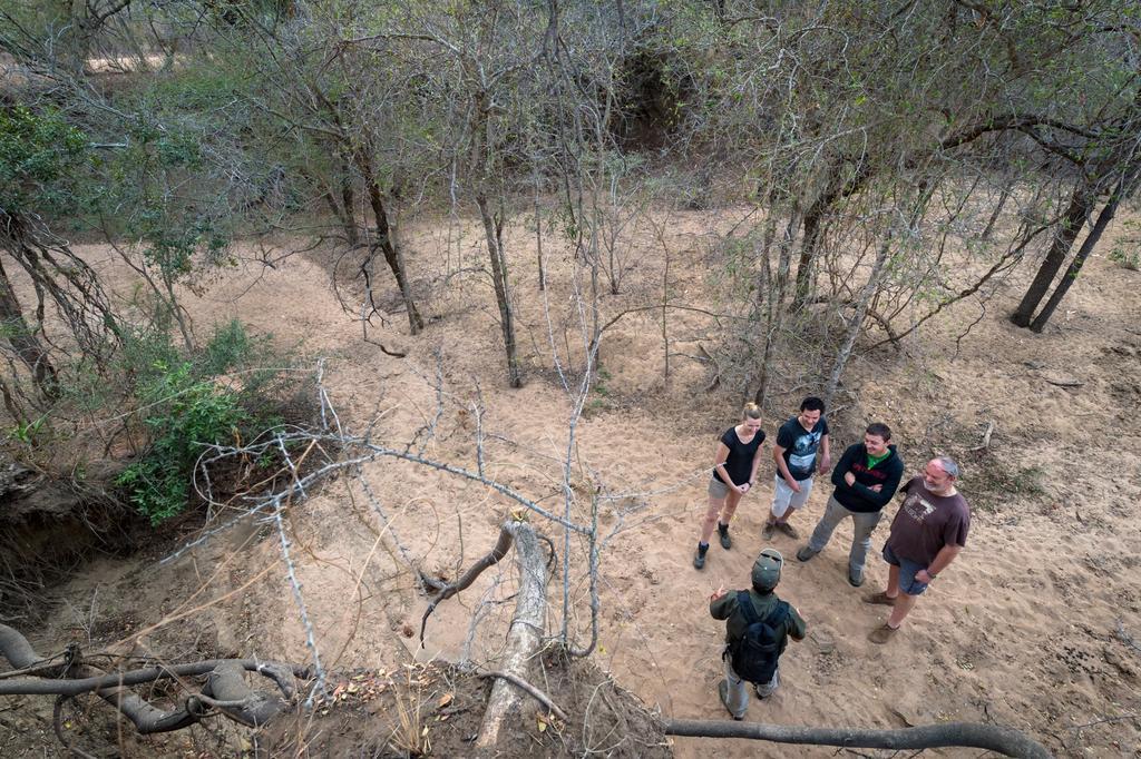 Klaserie River Safari Lodge Hoedspruit Dış mekan fotoğraf