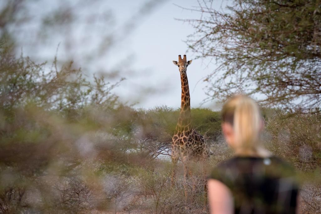 Klaserie River Safari Lodge Hoedspruit Dış mekan fotoğraf