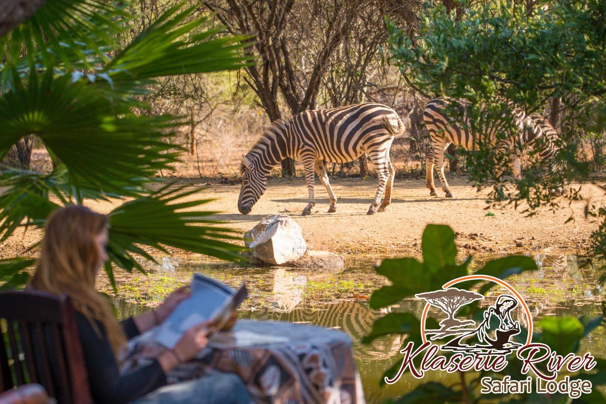 Klaserie River Safari Lodge Hoedspruit Dış mekan fotoğraf